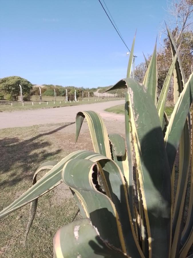 Alojamientos Frente Al Mar Complejo "El Estar De La Costa" San Clemente del Tuyú Zewnętrze zdjęcie